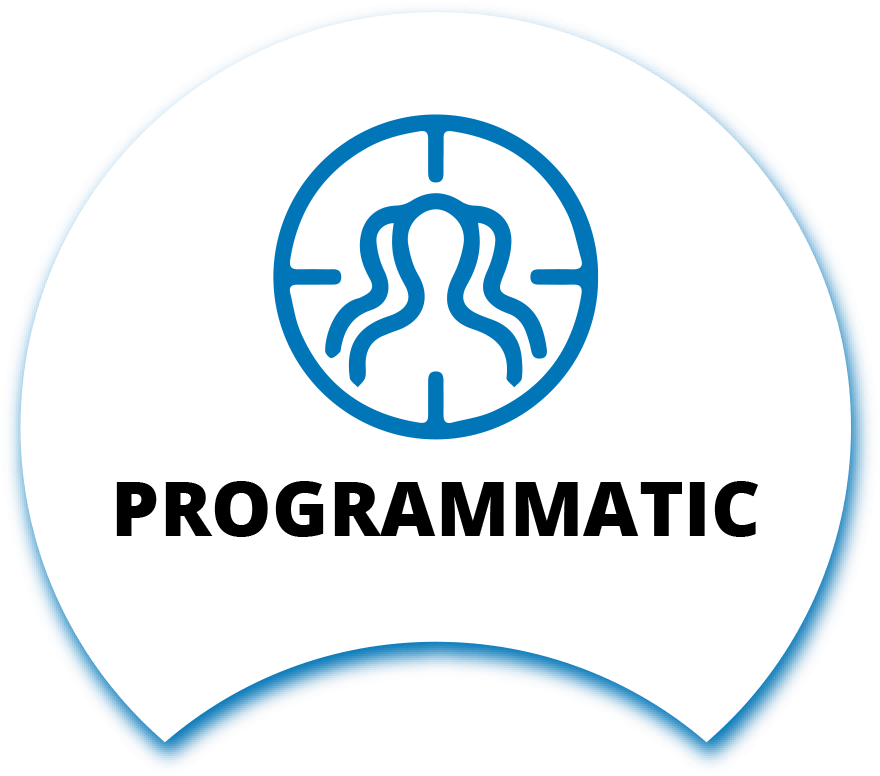 DSP Management (Programmatic Buying)