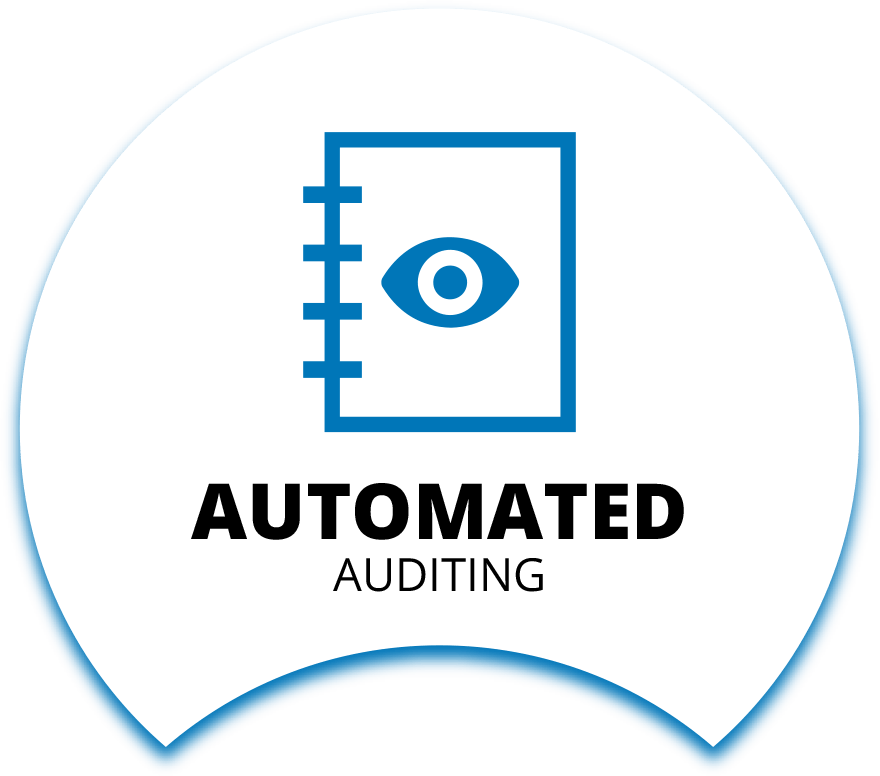 Automated Auditing